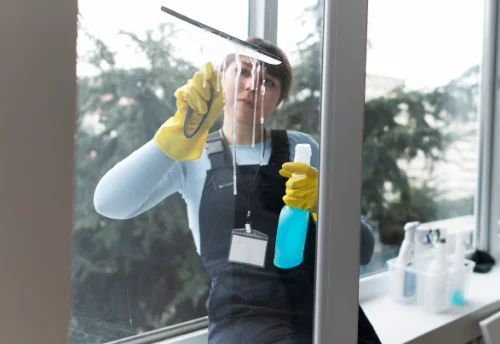Nettoyage de vitres intérieures et extérieures à Pauvres